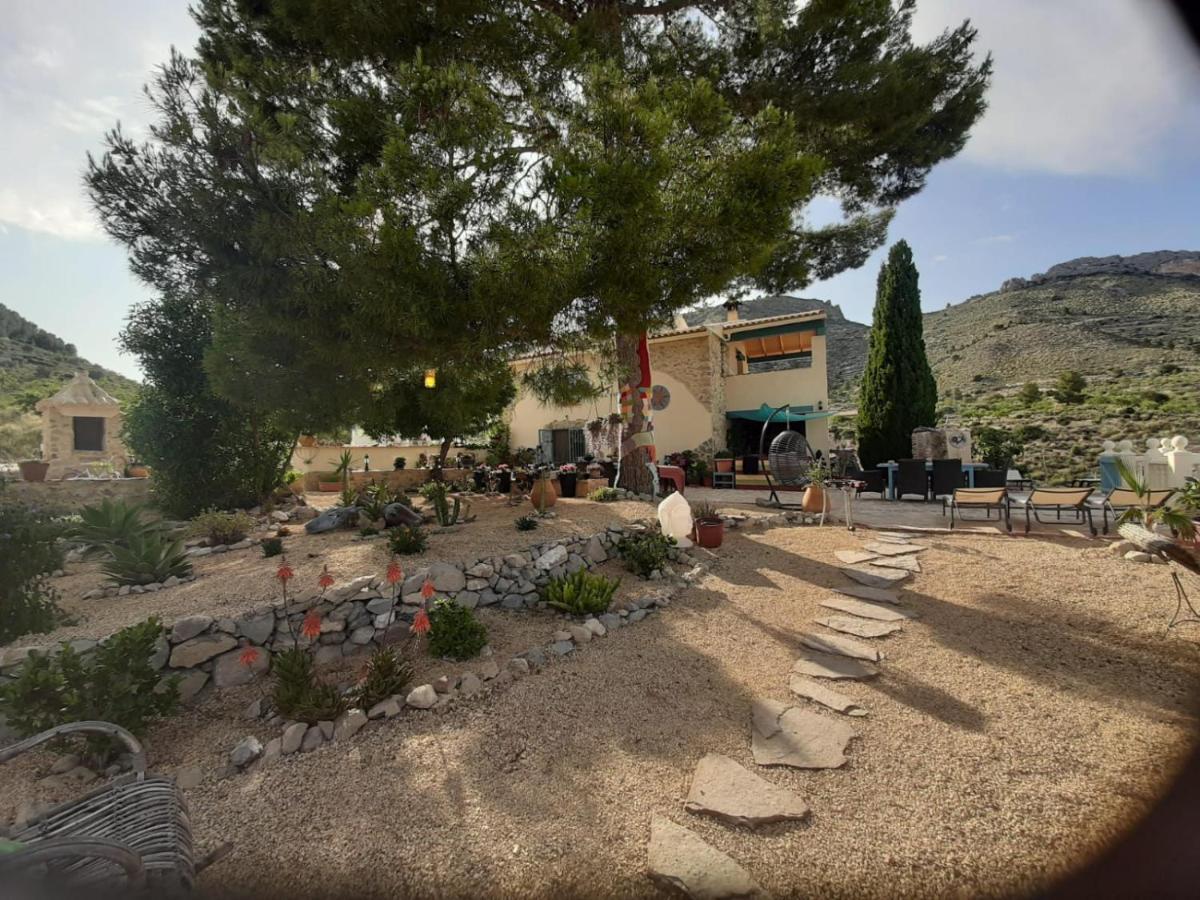 Casa Pura Vida Bed & Breakfast Relleu Eksteriør bilde