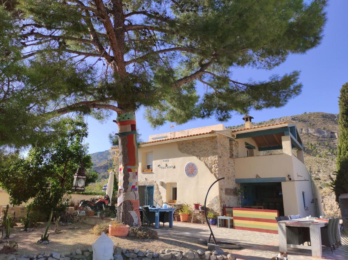 Casa Pura Vida Bed & Breakfast Relleu Eksteriør bilde