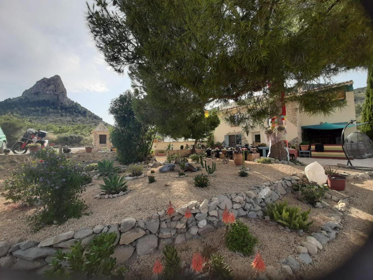 Casa Pura Vida Bed & Breakfast Relleu Eksteriør bilde