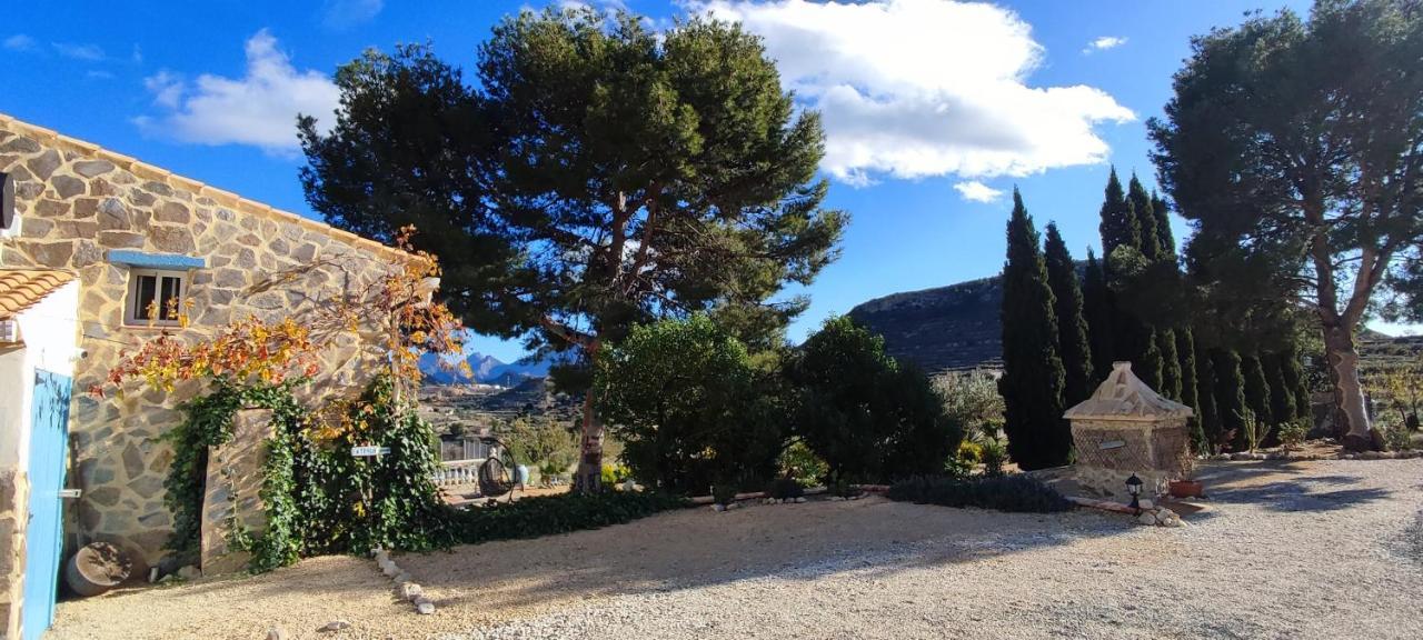 Casa Pura Vida Bed & Breakfast Relleu Eksteriør bilde