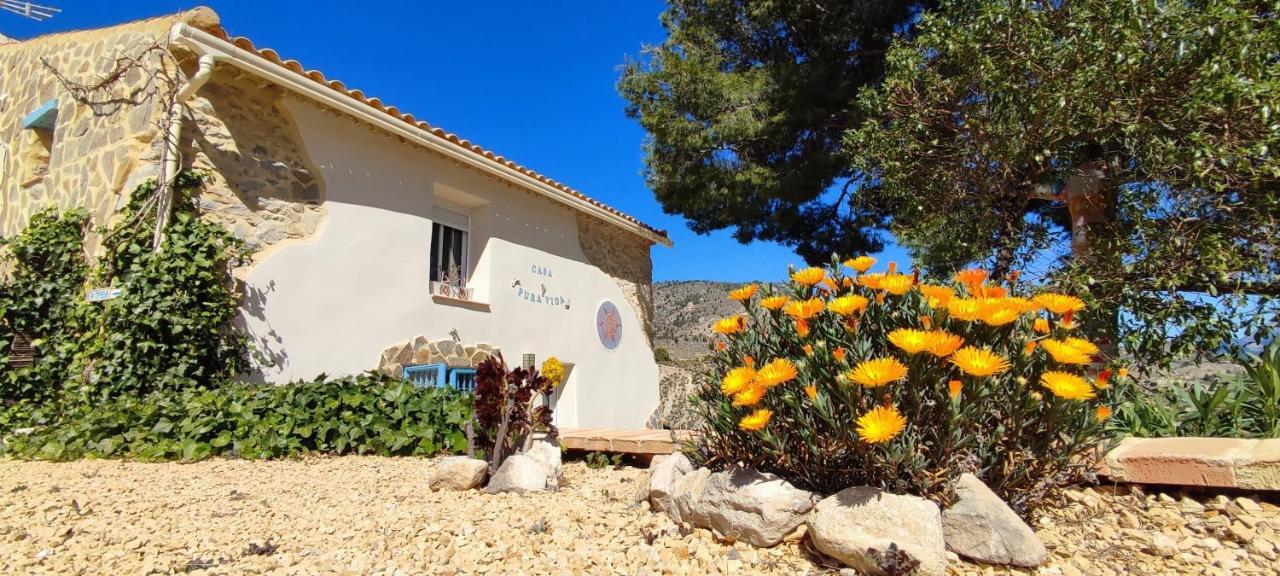 Casa Pura Vida Bed & Breakfast Relleu Eksteriør bilde