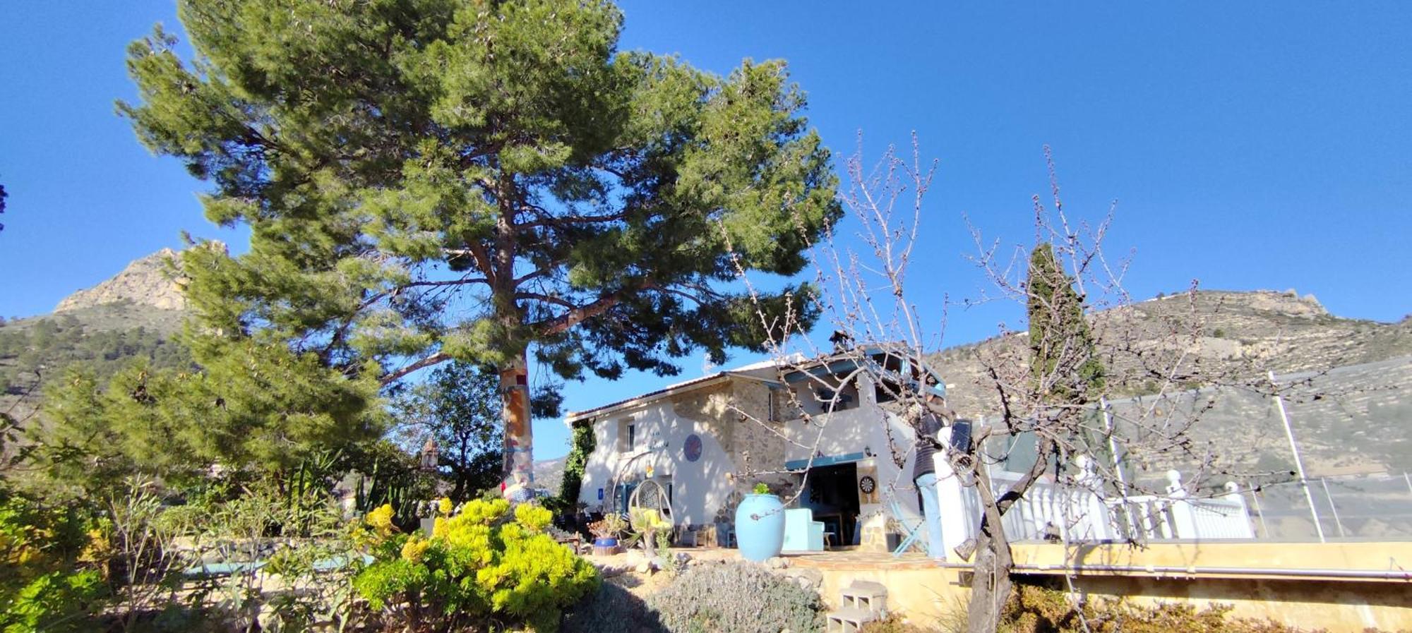 Casa Pura Vida Bed & Breakfast Relleu Eksteriør bilde